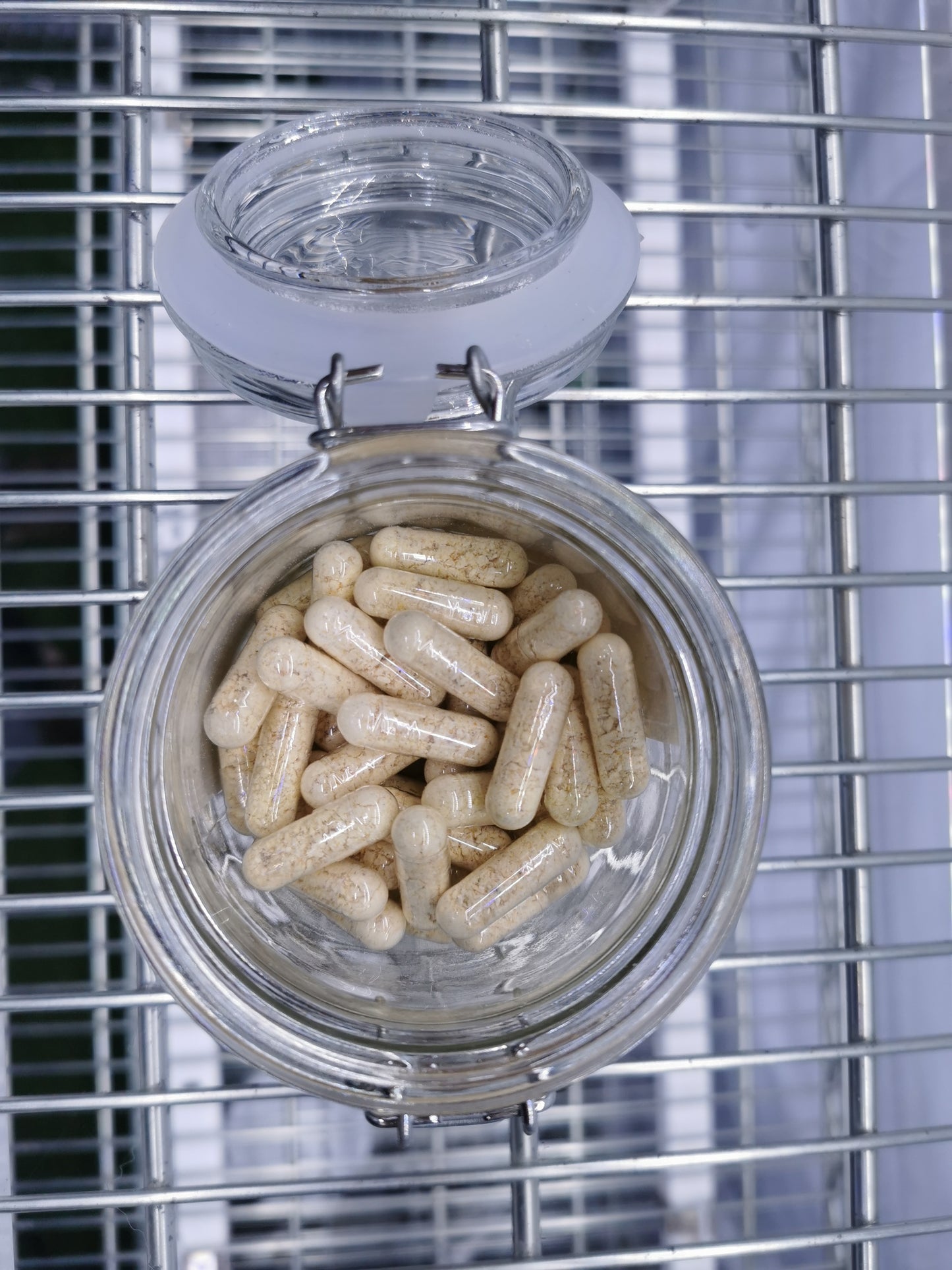 90 Vegan Lions Mane Capsules